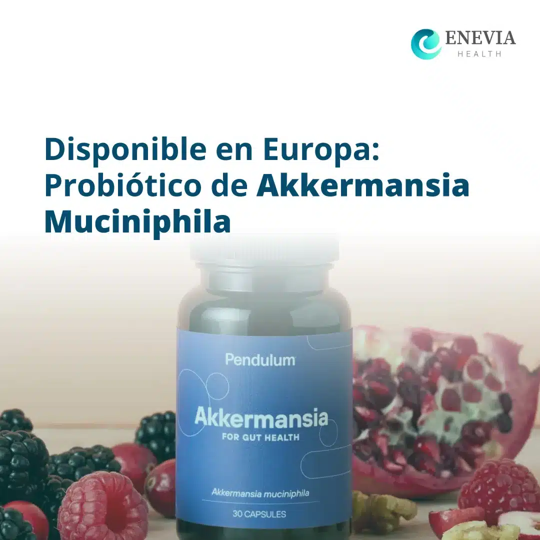 Akkermancia Muciniphila probiotico portada
