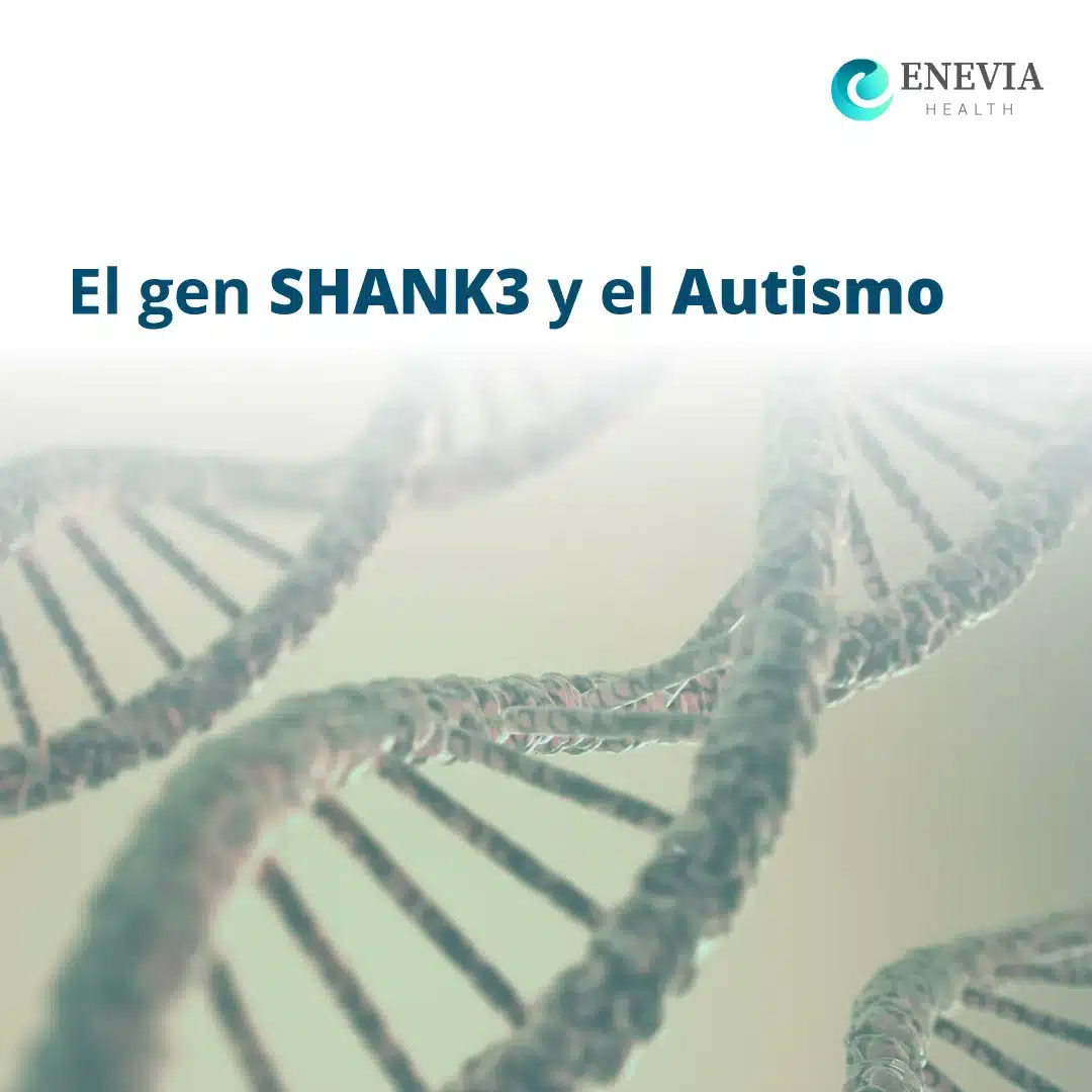 SHANK3 portada