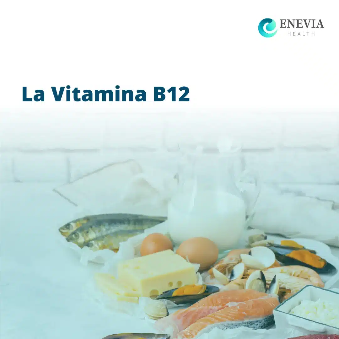 Vitamina B12 portada