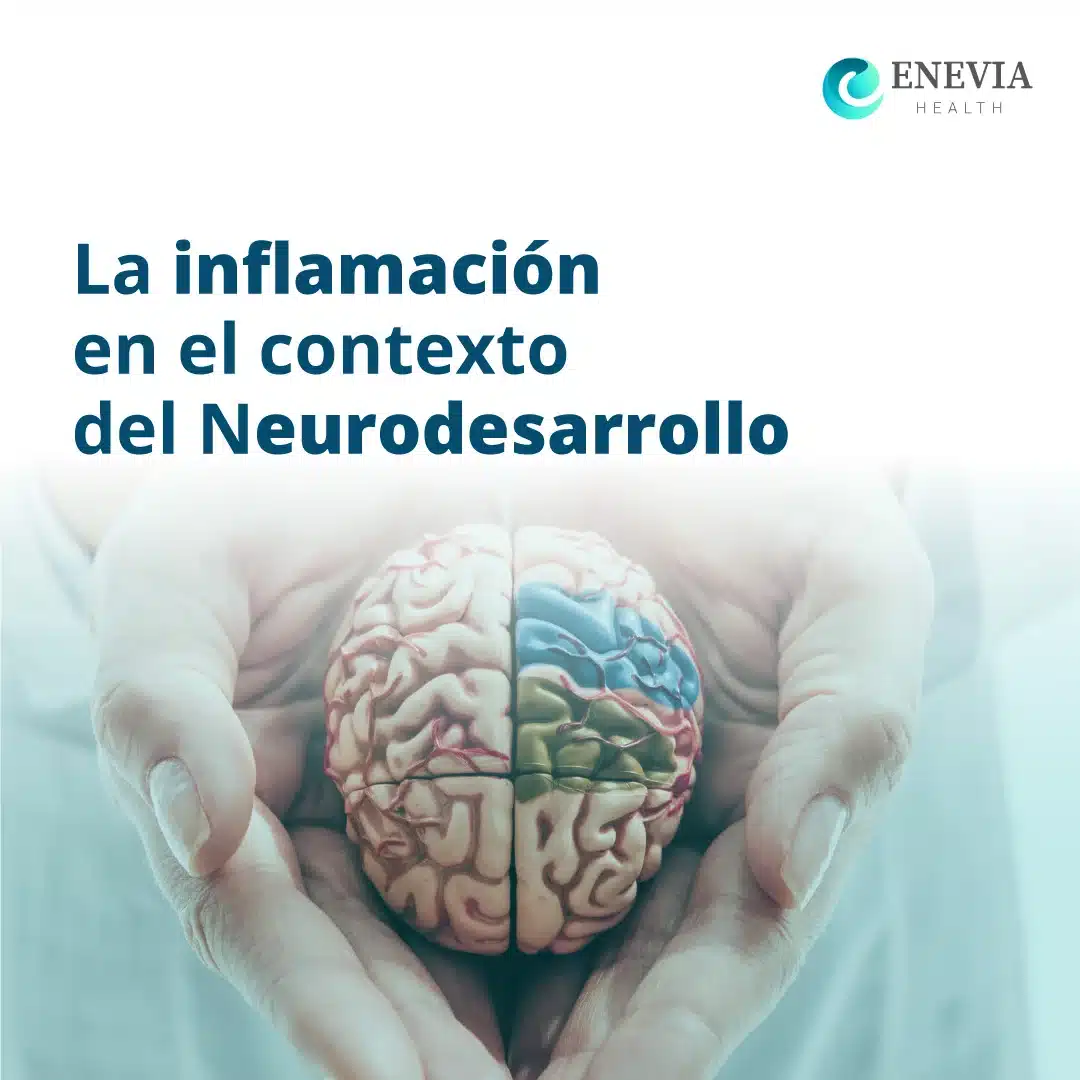 Inflamación neurodesarrollo portada