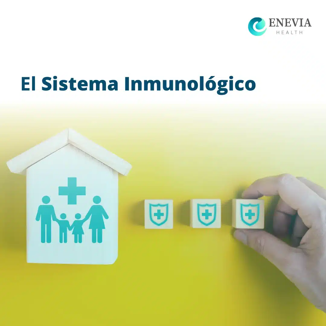 Sistema Inmunológico