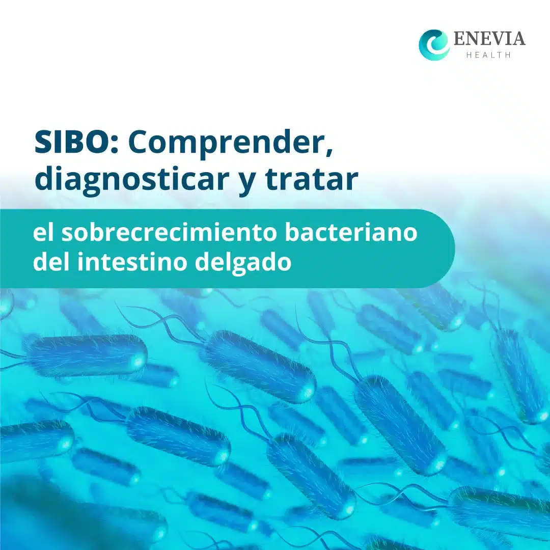 SIBO portada