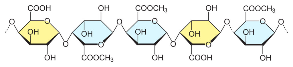 Composición química de la Pectina