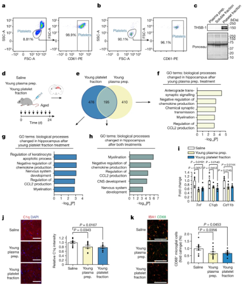 Los factores plaquetarios mitigan la neuroinflamación en el hipocampo anciano