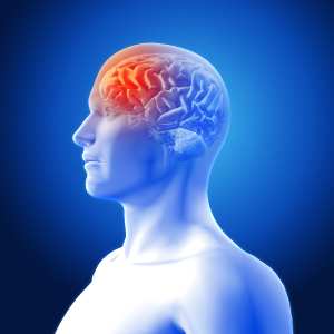 daño cerebral neurodesarrollo