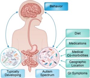Microbiota en el autismo