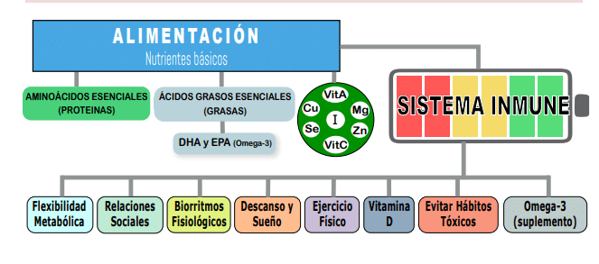 Habitos saludables para el sistema inmune