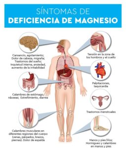Síntomas de la deficiencia de magnesio