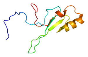 Proteína MePC2