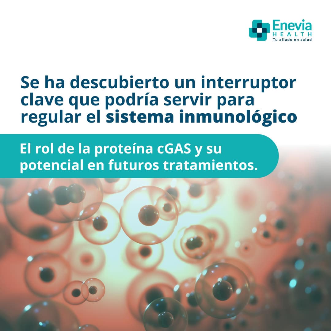 Sistema Inmunológico portada web