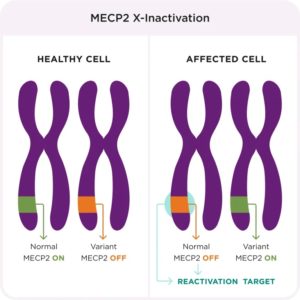 MePC2 en Síndrome Rett