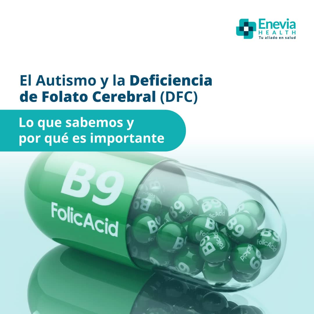 Portada Web folato cerebral