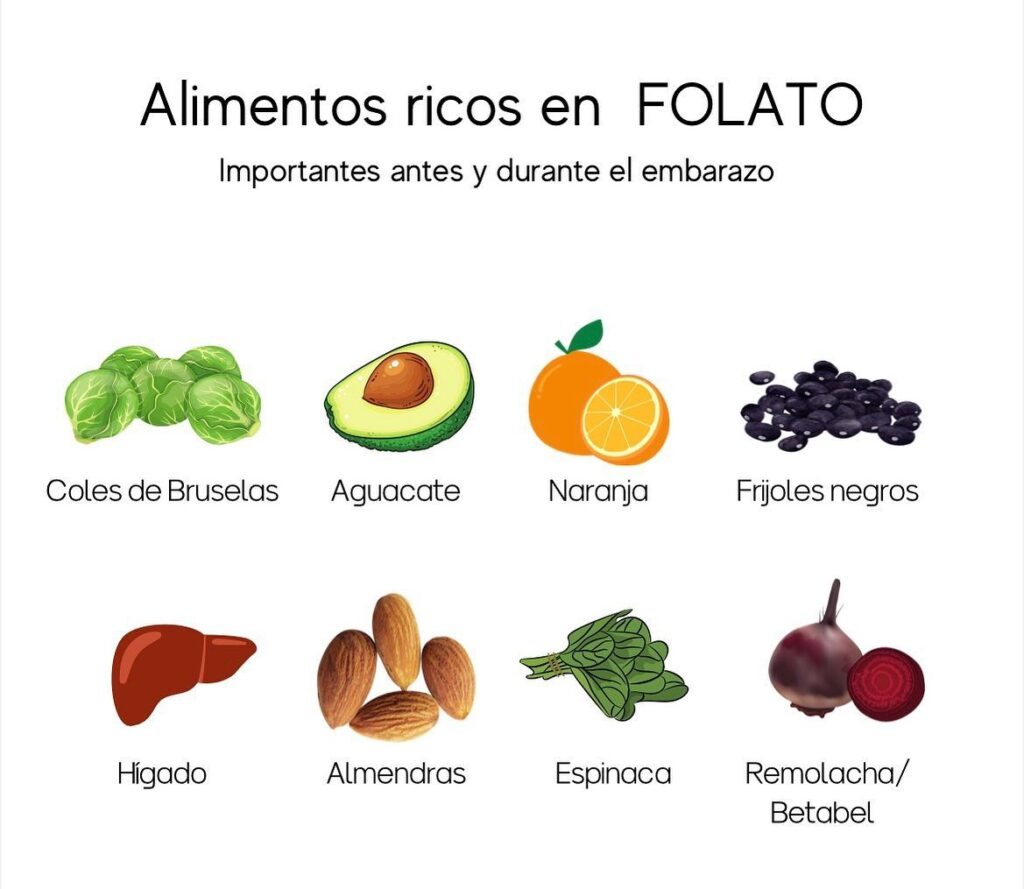 Alimentos ricos en Vitamína B9