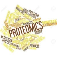 Inbiomiter_proteomico