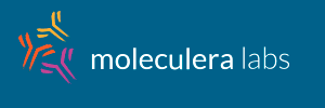 molecula-labs